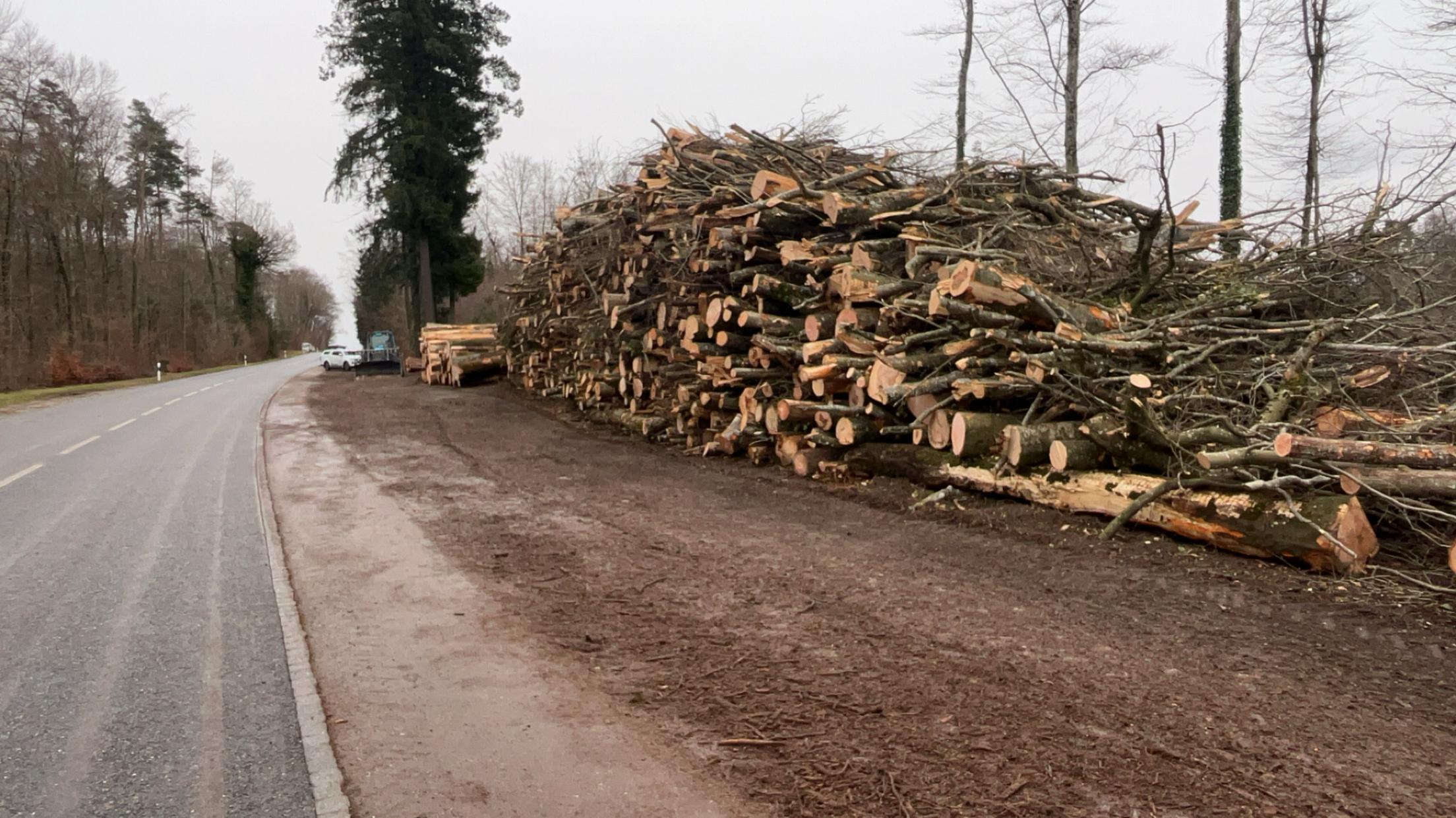 Débardage de bois dans le Jura — SAS POLYVIER